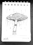 Daily Drawing 25