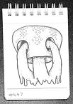 Daily Drawing 447
