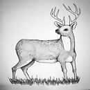 deer copic marker drawing