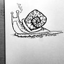 A snail with a trail of slime ink drawing
