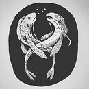 Two long thin fish intertwined while swimming upwards ink drawing