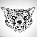 A tiger with long teeth and a nose ring ink drawing