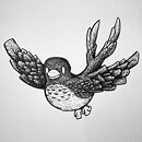 swift bird ink drawing