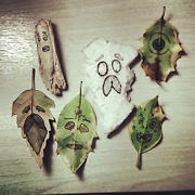 faces drawn on the back of some leaves